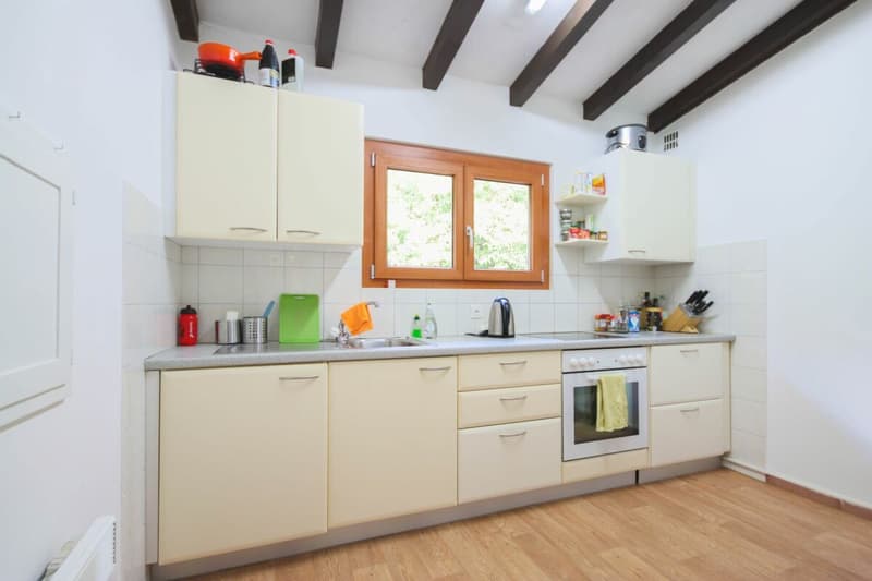 Maison de vacances sur un grand terrain constructible dans un endroit calme entouré de verdure (7)