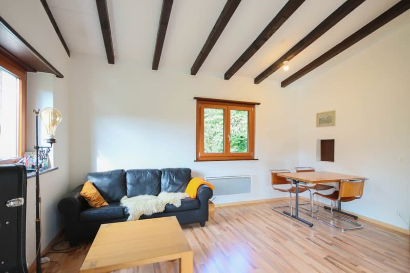 Maison de vacances sur un grand terrain constructible dans un endroit calme entouré de verdure (5)