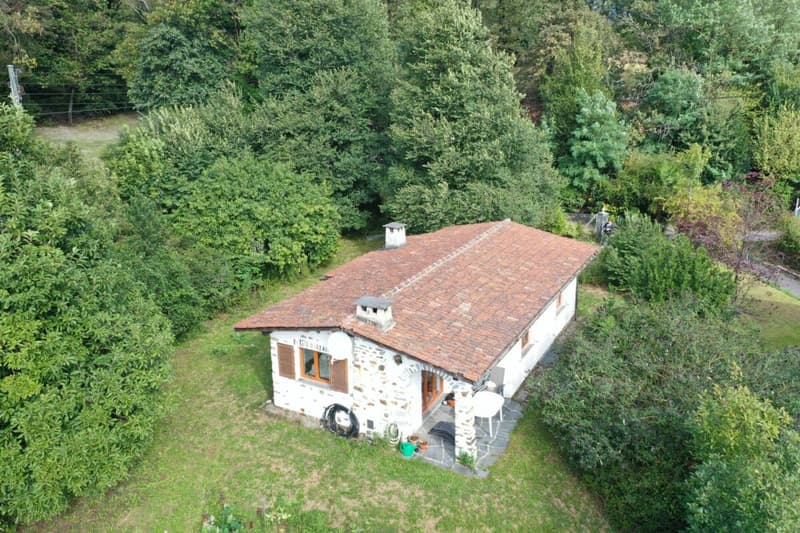 Maison de vacances sur un grand terrain constructible dans un endroit calme entouré de verdure (3)