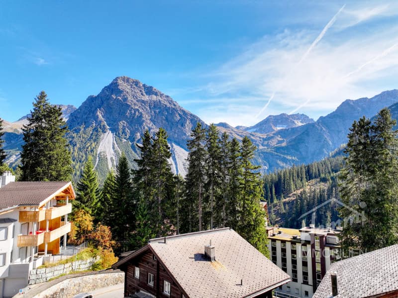 Mountain view, wooden house, multiple houses, trees, mountains