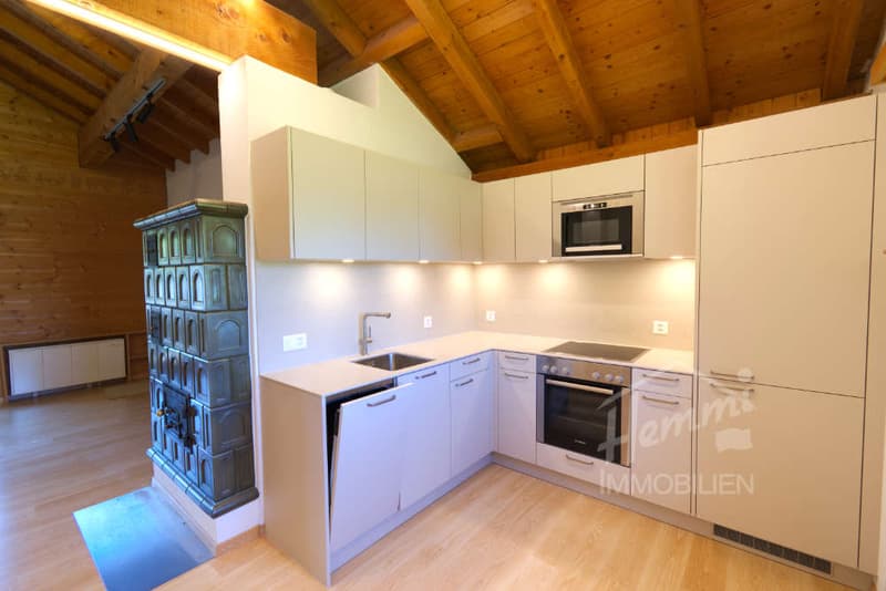 Appartamento vacanze in posizione ottimale Ski-in/Ski-out (1)