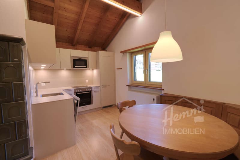 Appartamento vacanze in posizione ottimale Ski-in/Ski-out (4)