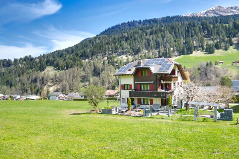 Weitläufige Wiese