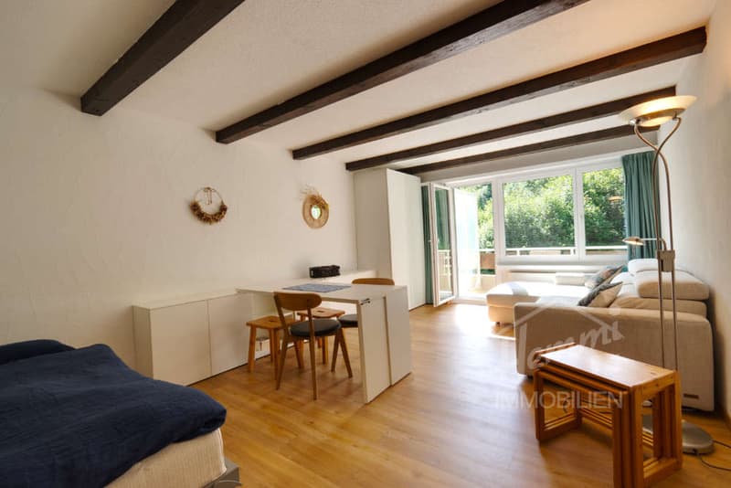 Ruhiges Ferienstudio mit Balkon und Bergblick (6)