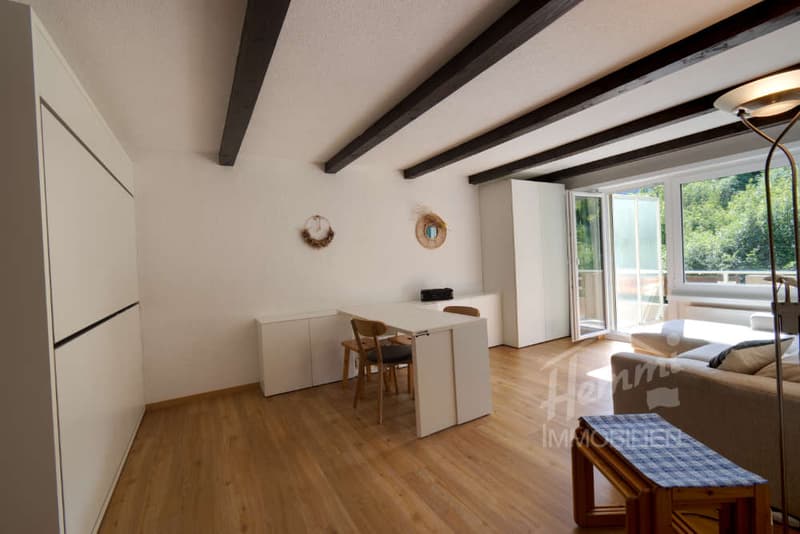 Ruhiges Ferienstudio mit Balkon und Bergblick (8)