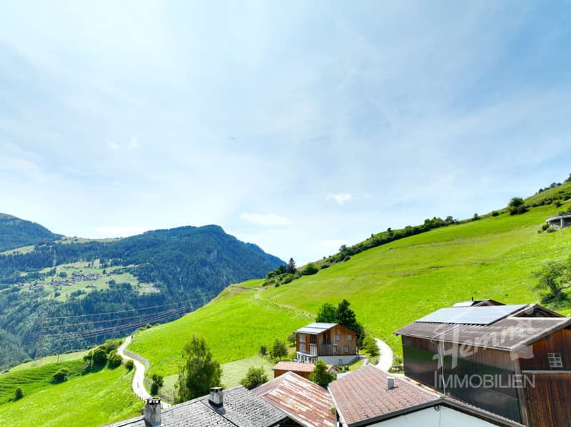 Your chance for a beautiful first home - building land with stable (5)