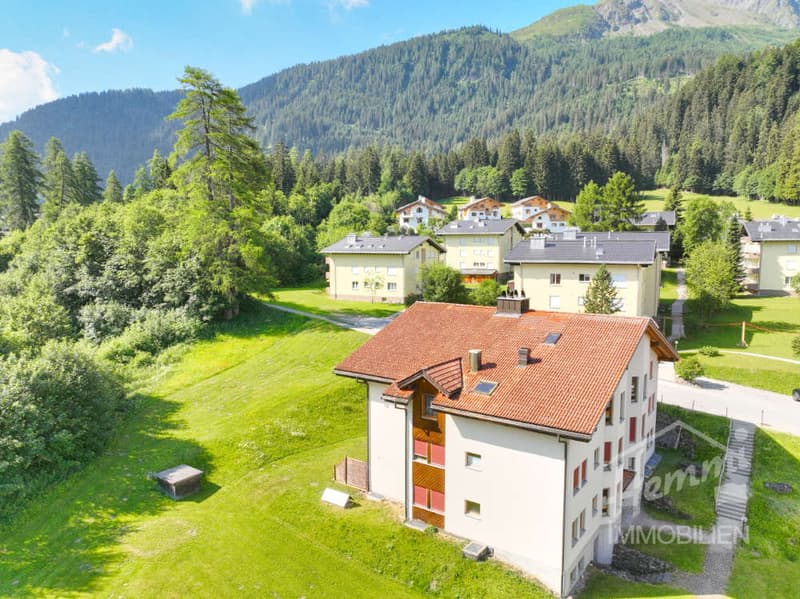 Ruhige Ferienwohnung – Ihr Traumzuhause in den Bündner Bergen (1)