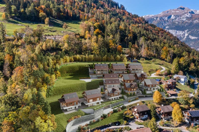 Ferienhaus oder fester Wohnsitz J (6)