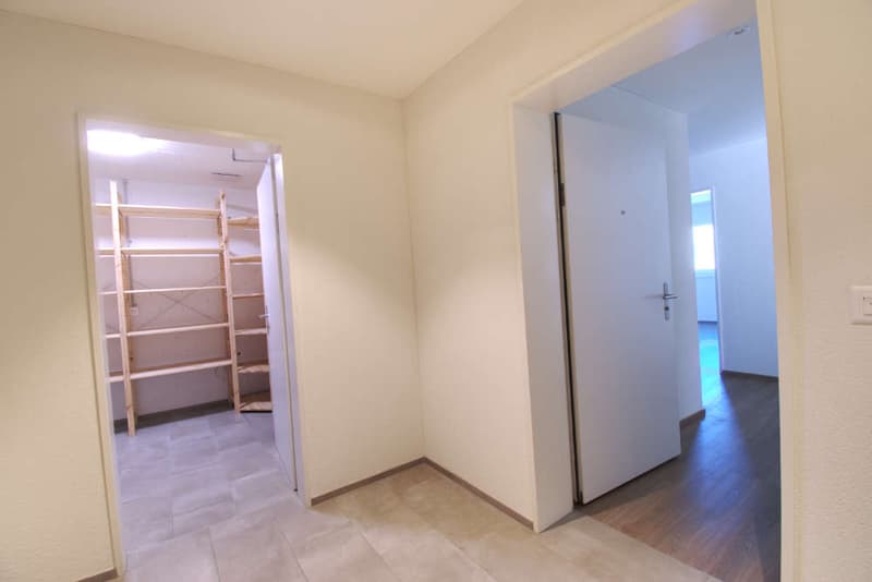 Wunderschöne grosszügige Erstwohnung mit Aussicht (17)