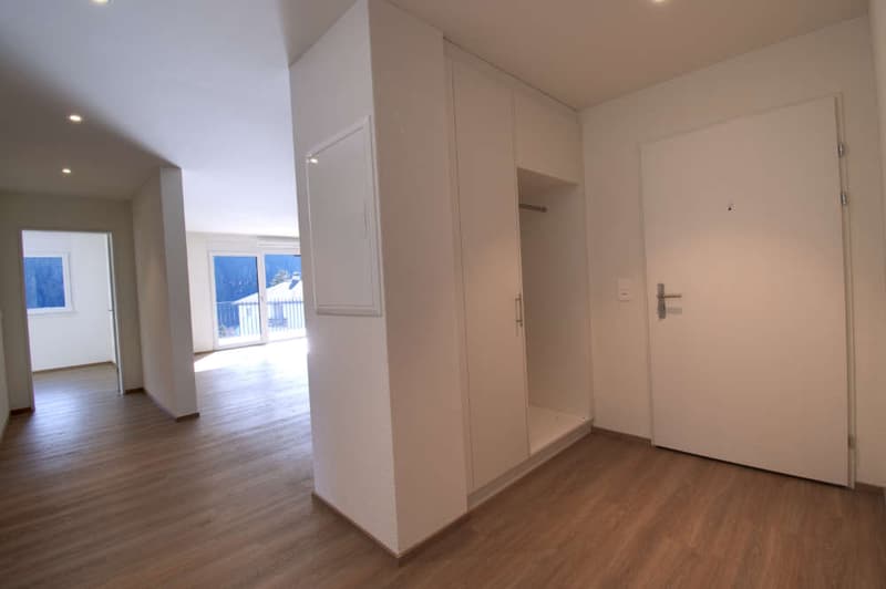 Wunderschöne grosszügige Erstwohnung mit Aussicht (11)