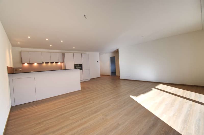 Wunderschöne grosszügige Erstwohnung mit Aussicht (9)