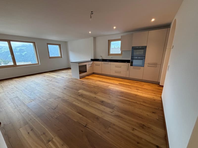 Appartement de vacances, tout nouveau 3,5 pièces (2)