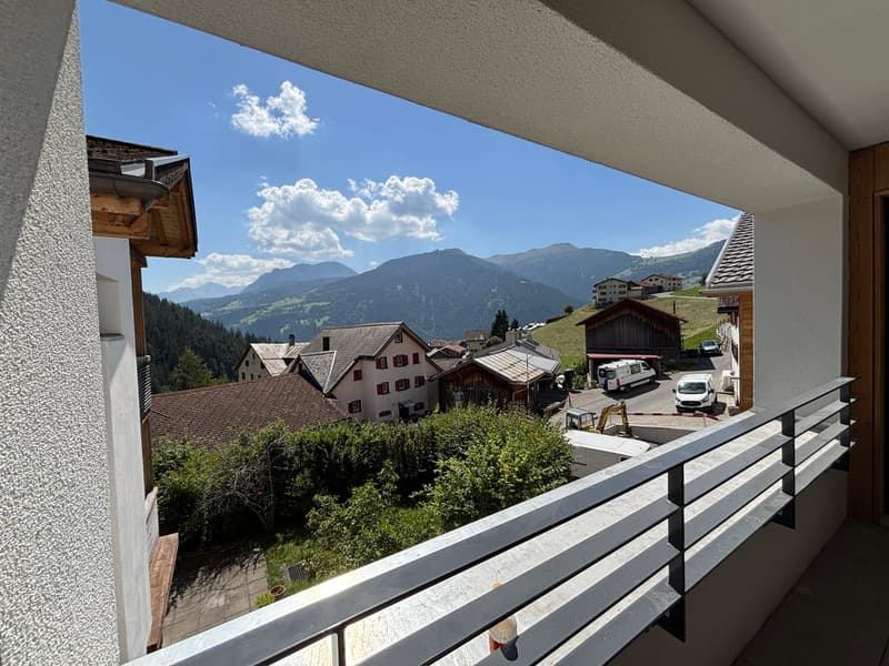 Appartement de vacances, tout nouveau 3,5 pièces (3)