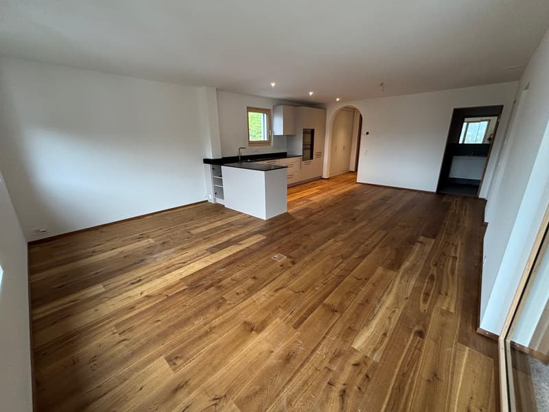 Appartement de vacances, tout nouveau 3,5 pièces (4)