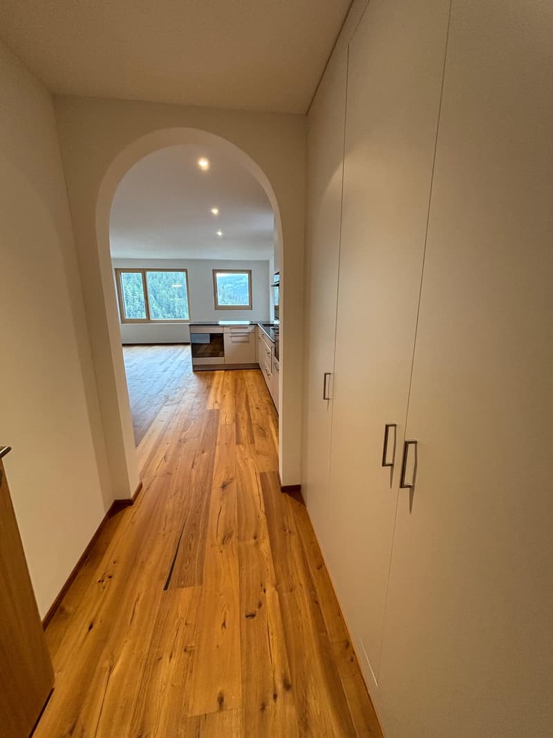 Appartement de vacances, tout nouveau 3,5 pièces (9)