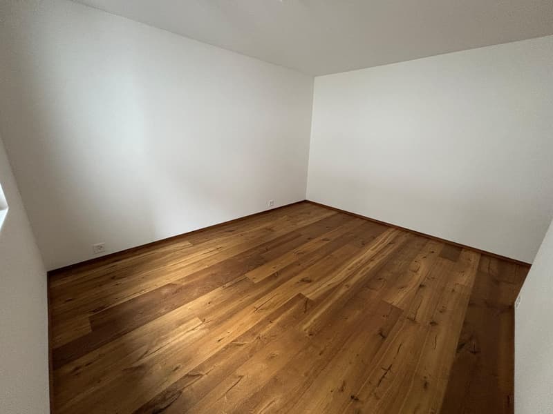 Appartement de vacances, tout nouveau 3,5 pièces (10)