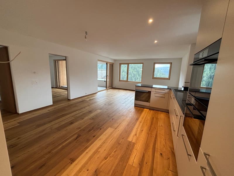 Appartement de vacances, tout nouveau 3,5 pièces (1)