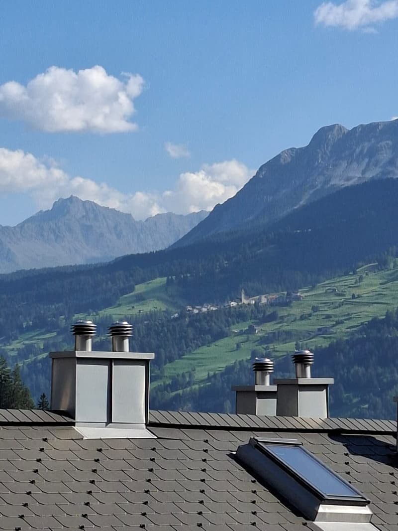 Roof with multiple chimneys and a skylight, scenic mountain range in the background