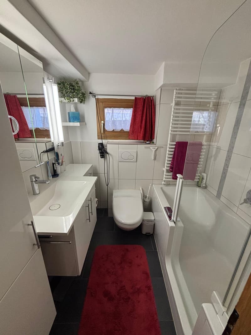 modern bathroom with glass shower, bathtub, sink, toilet, radiator, open cabinets, mirror, red towel and rug, small shelf with a plant