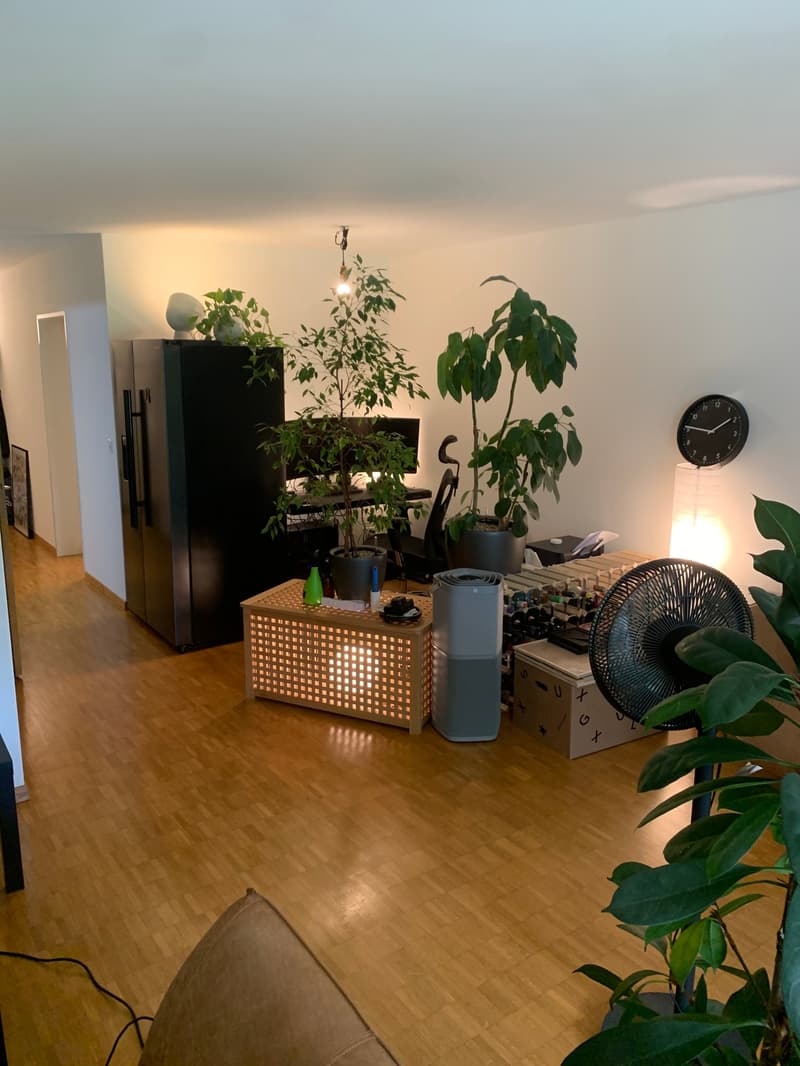 Charmante 2.5-Zimmer-Wohnung im Erdgeschoss in Wettingen – ab November 2026 verfügbar (8)