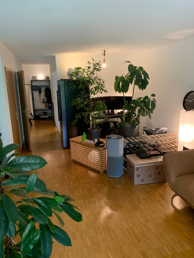 Charmante 2.5-Zimmer-Wohnung im Erdgeschoss in Wettingen – ab November 2026 verfügbar (9)