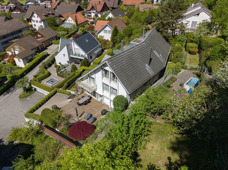 Living with a view: Two exclusive houses in a dreamy hillside location in Hausen am Albis (2)
