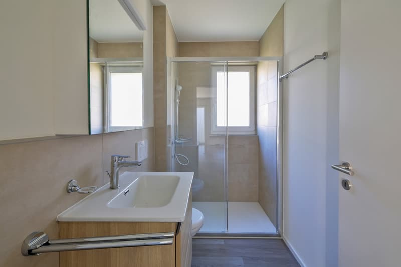 Moderno 4.5 locali con terrazza e lavaderia privata (4)