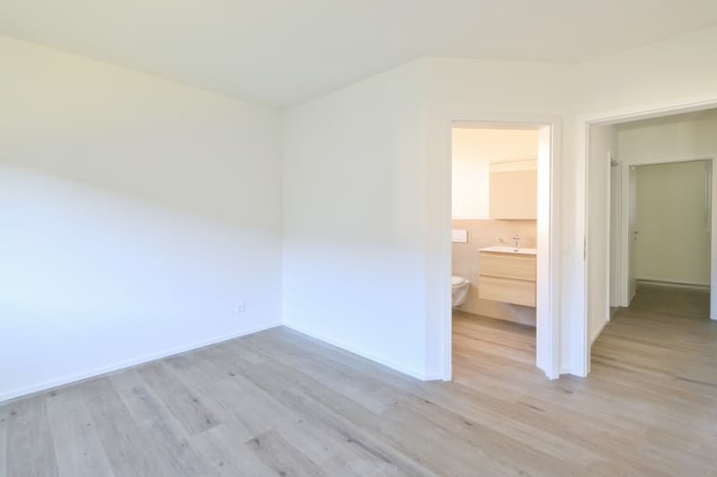 Moderno 4.5 locali con terrazza e lavaderia privata (3)