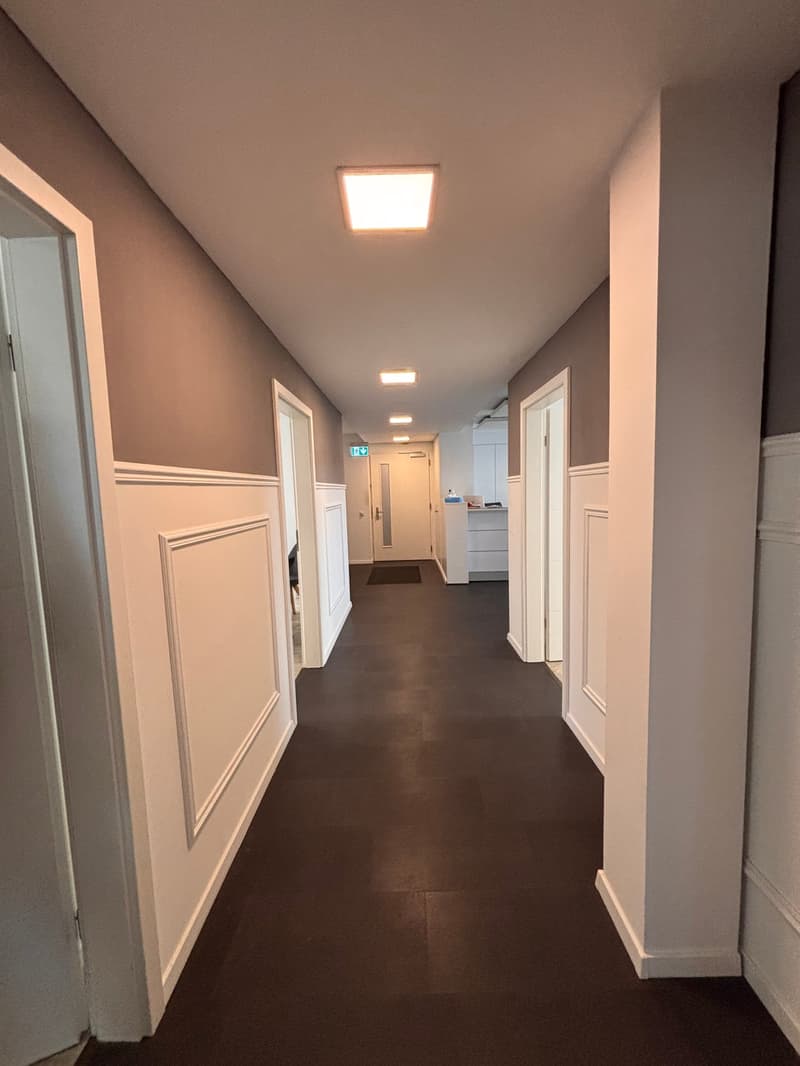 repräsentatives Büro mitten im Seefeld (2)