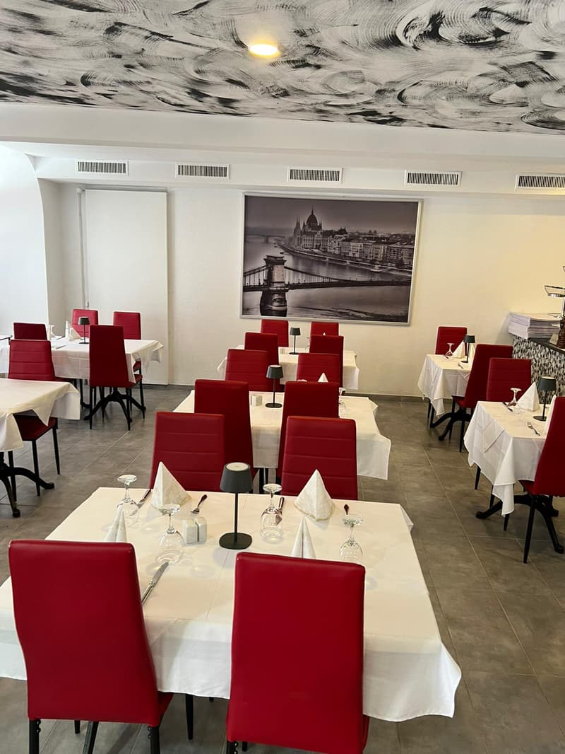 Ristorante con grande ristorante giardino nel cortile (15)
