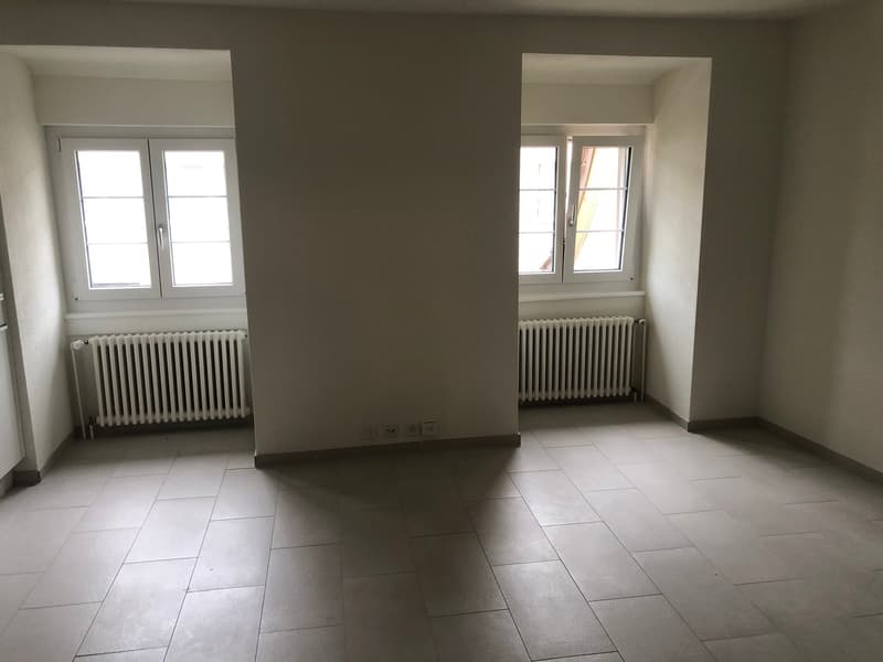 Wohnen unmittelbar an der Limmat - Studio (5)