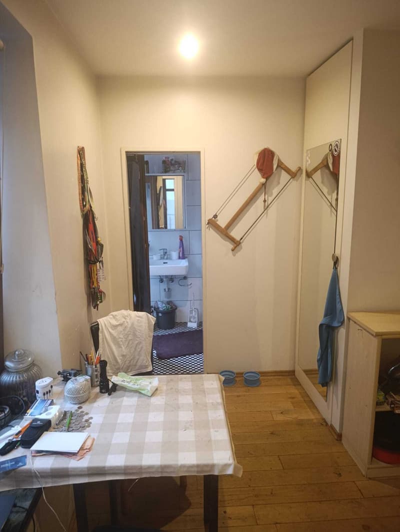 SMe_Toesstalstrasse_Wohnraum_1.jpeg