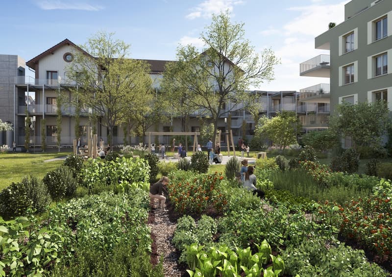 A community garden with a diverse range of plants, including tomatoes, peppers, herbs, and flowers, surrounded by buildings with balconies. Various trees, bushes, and pathways are integrated into the design. Play equipment and a small playground area for