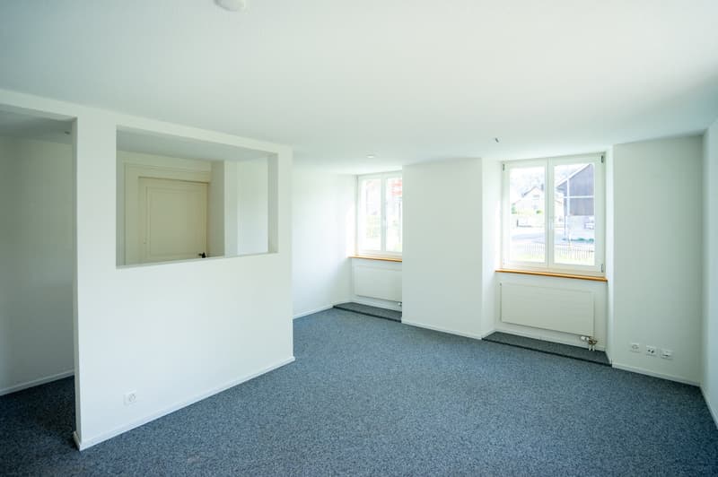 empty room, white walls, blue carpet, two windows, two doors