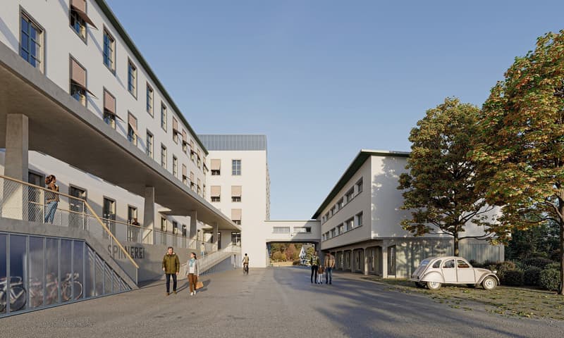 Première location - Appartement spacieux avec charme industriel (4)