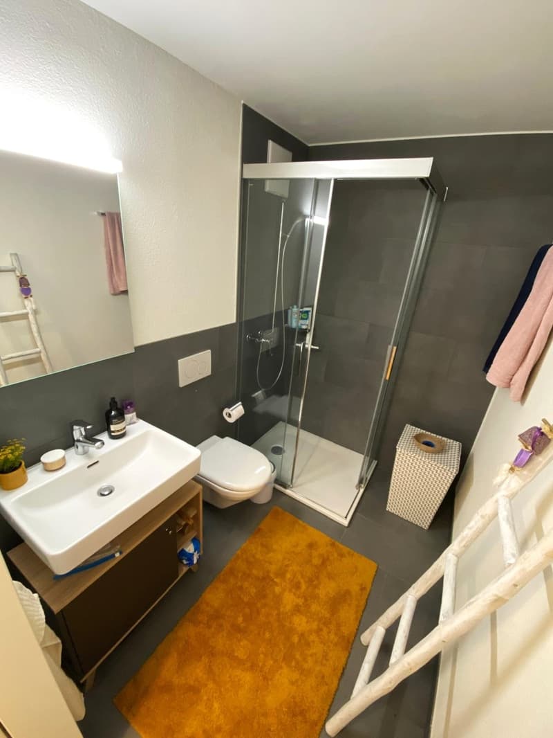 Zentral gelegene Wohnung mit Aussicht (6)