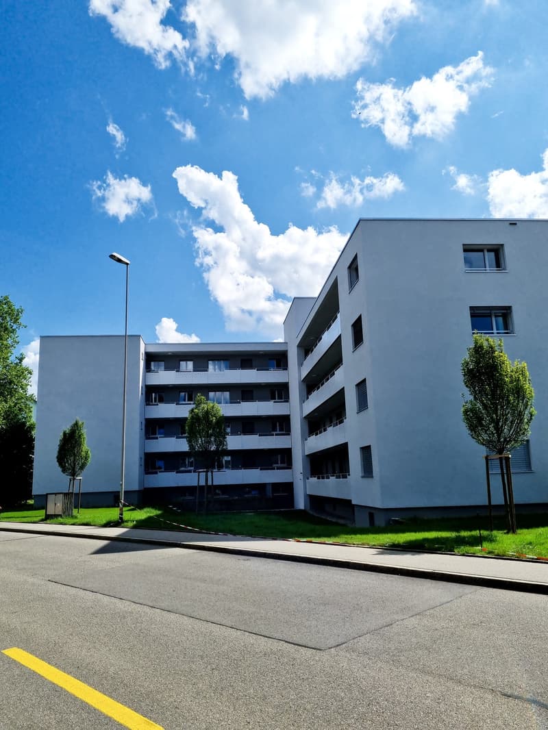Zentral gelegene Wohnung mit Balkon (1)