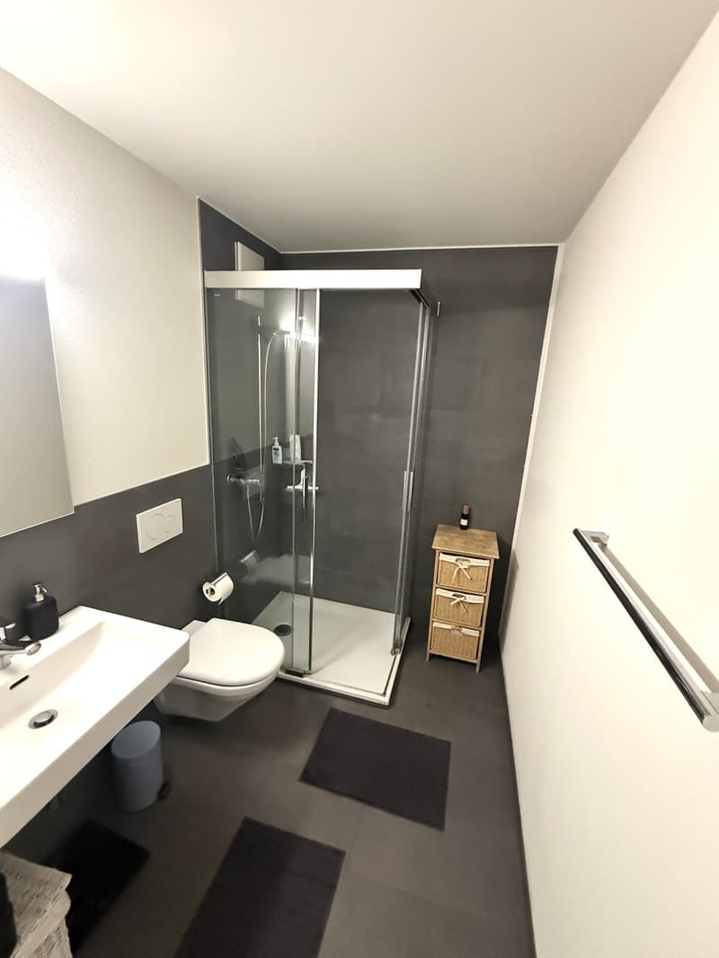 Zentral gelegene Wohnung mit Balkon (4)