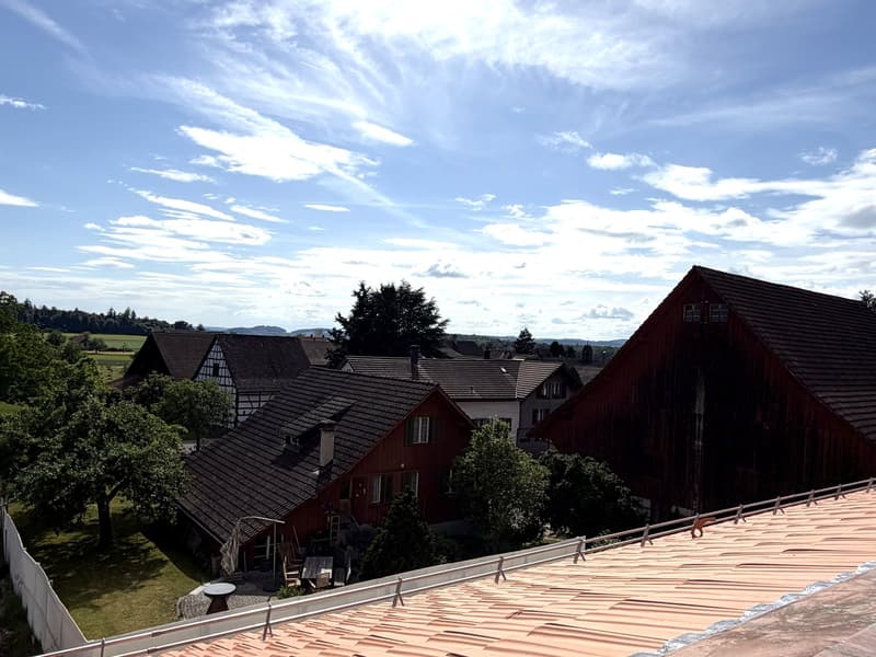 2.5-Room Attic Apartment with View & Loggia - First Occupancy (9)