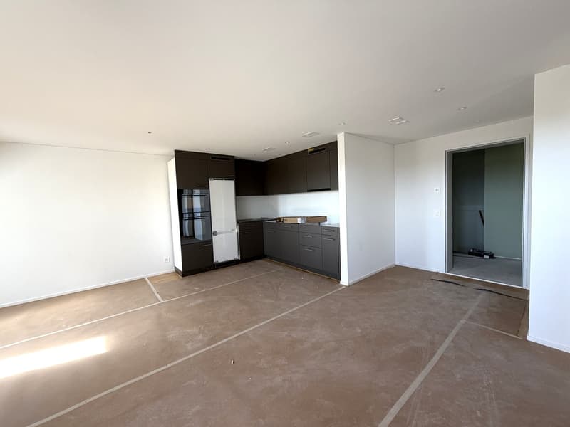 2.5-Room Attic Apartment with View & Loggia - First Occupancy (3)
