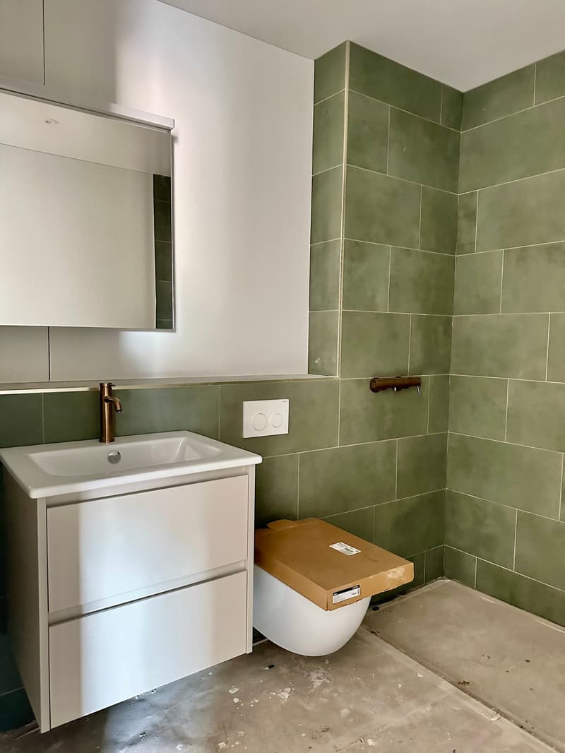 Premier occupant ! Appartement 3.5 pièces avec grand balcon couvert (3)