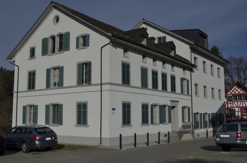 Appartement loft spacieux dans un emplacement central à Turbenthal (4)