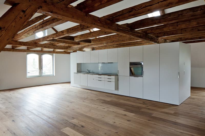 Appartement loft spacieux dans un emplacement central à Turbenthal (1)