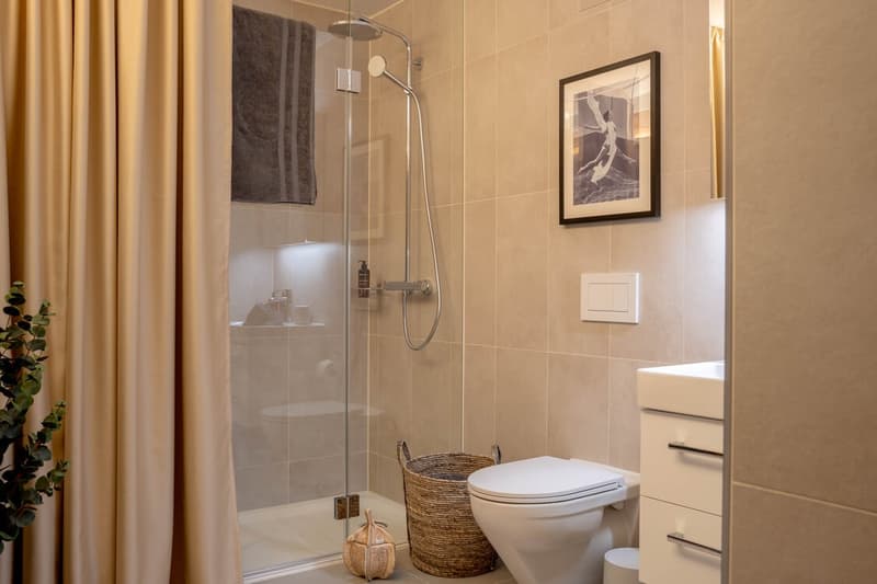 Brandnew: Rooftop Serviced & Furnished Apartment in Prime Seefeld Location (12)