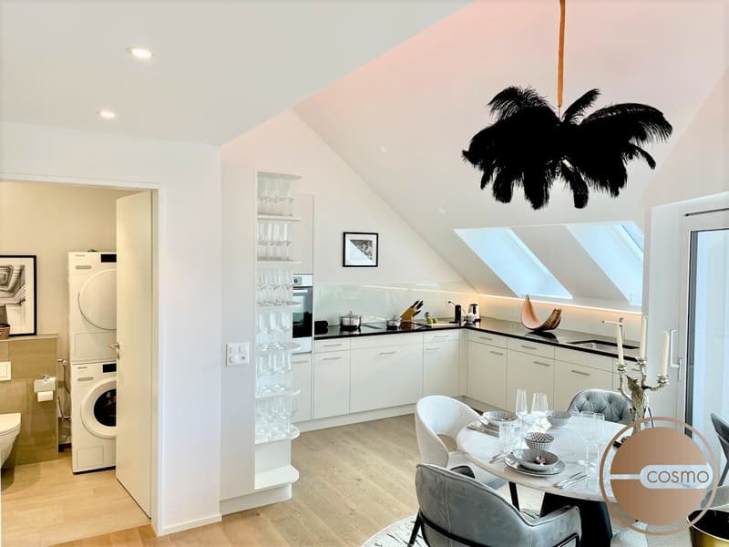 PENTHOUSE MIT AUSSICHT IM HERZEN WIEDIKONS  / PENTHOUSE WITH VIEW IN THE HEART OF WIEDIKON (8)