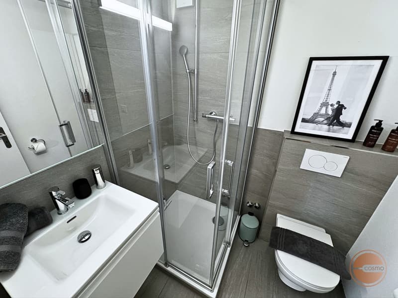 COSMOPOLITAN APARTMENTS - 4.5 ROOM / 3-BEDROOM SERVICED APARTMENT (24)