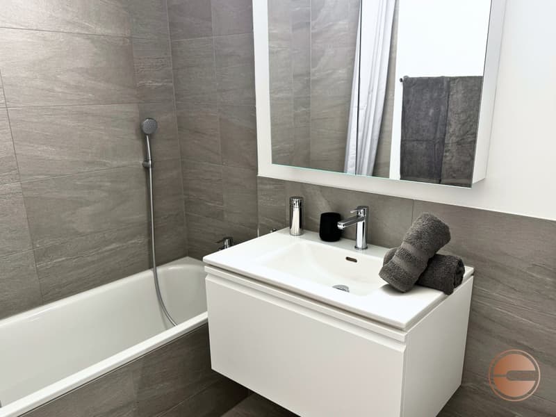 COSMOPOLITAN APARTMENTS - 4.5 ROOM / 3-BEDROOM SERVICED APARTMENT (21)