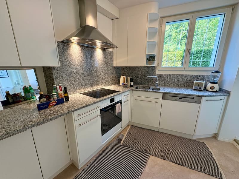NEU! 1-Bedroom-Apartment mit Gartenterrasse am Zürichberg (12)