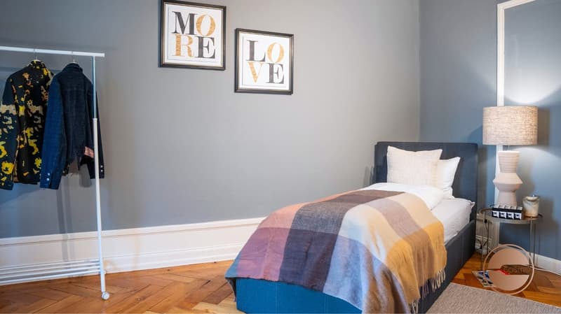 BELLE ÉPOQUE CHARM - 3.5-ROOM / 2-BEDROOM BOUTIQUE SERVICED APARTMENT (6)
