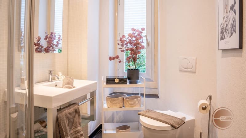BELLE ÉPOQUE CHARM - 3.5-ROOM / 2-BEDROOM BOUTIQUE SERVICED APARTMENT (20)